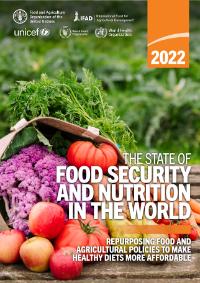 SPAIN. Burlap bag filled with vegetables and fruits in a crop field – healthy eating and ecological agriculture